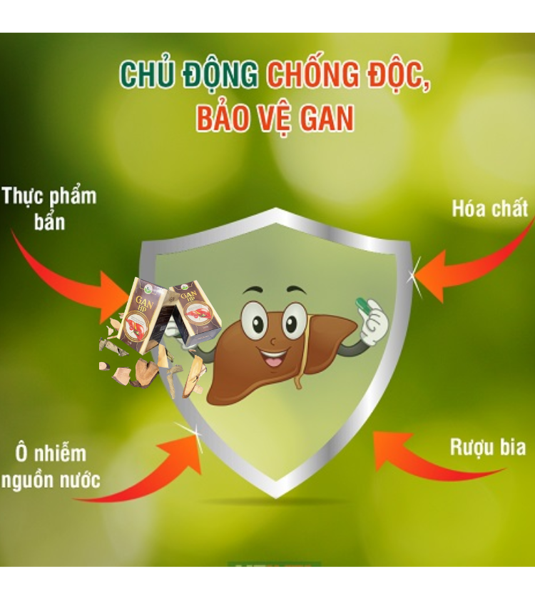 thuoc-chua-benh-ve-gan